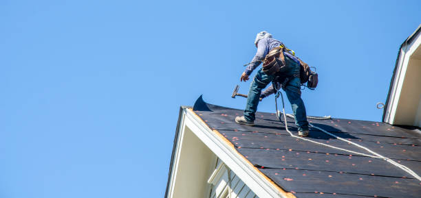 Best Metal Roofing Contractor  in Boyne City, MI